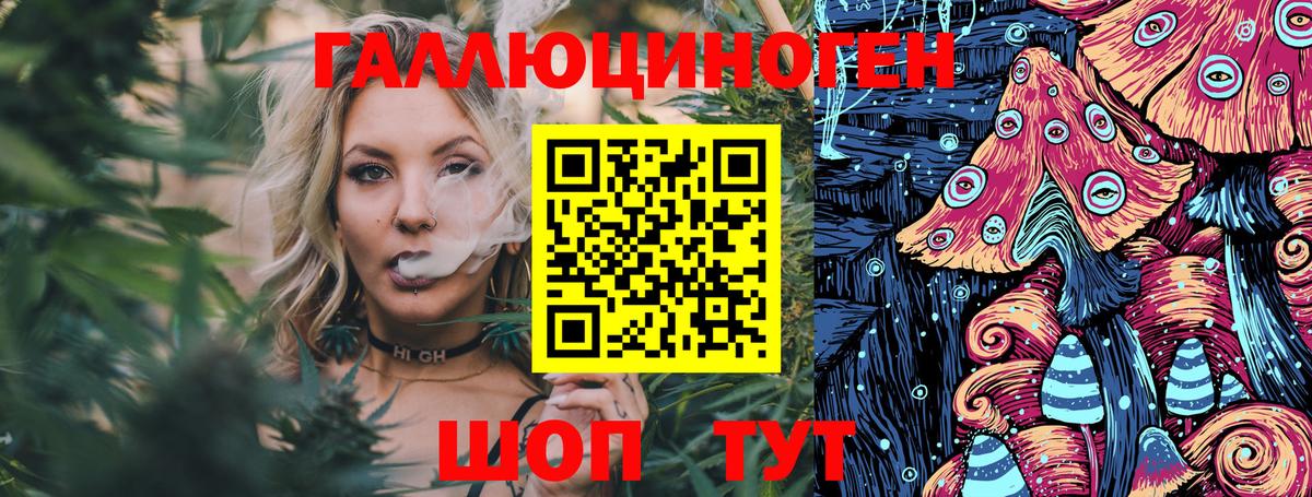 Псилоцибиновые грибы Psilocybine cubensis Урус-Мартан